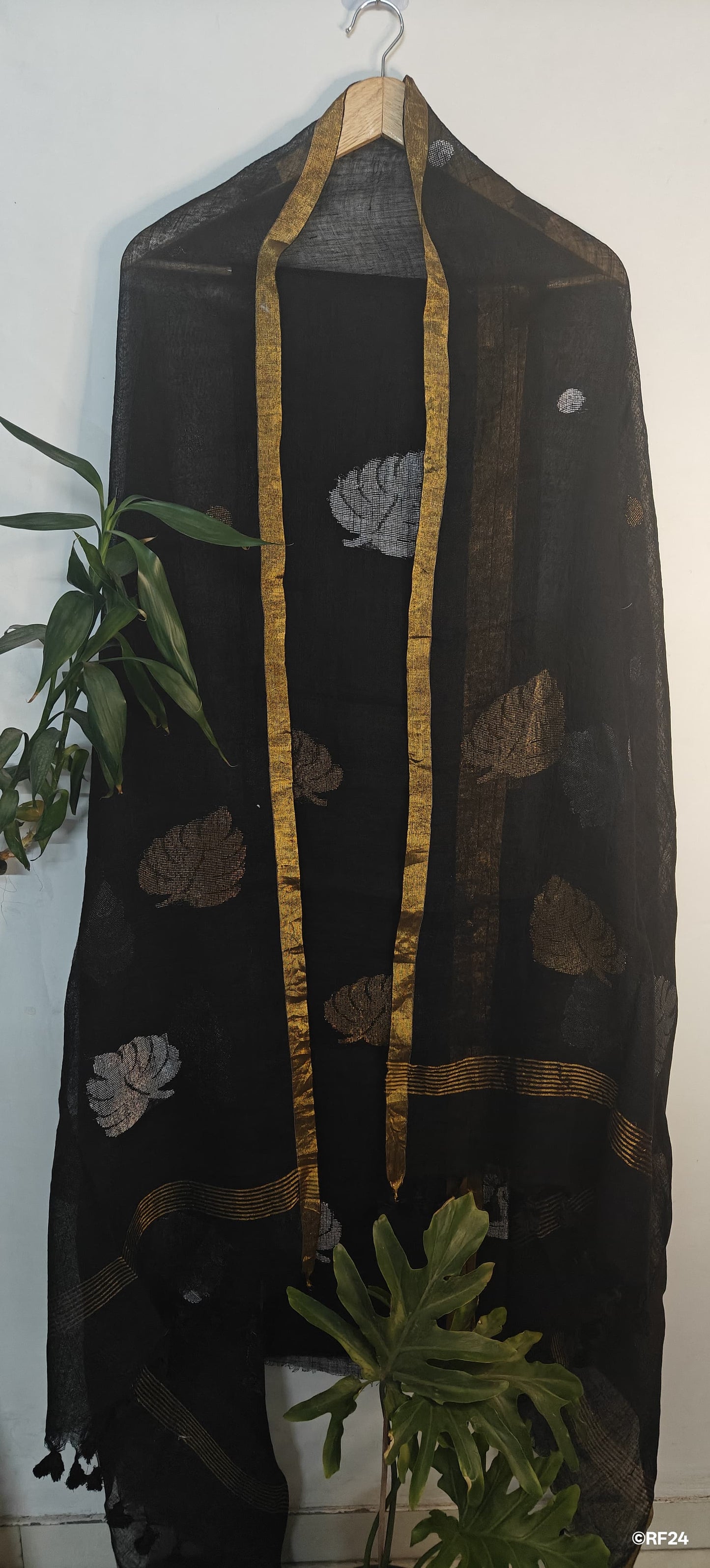 ππΎπΆπΎππ²π·π² ππππππ & πΆπππππ π πππππ ππππ ππππππ ππππ πππππ ππ’ πππππ