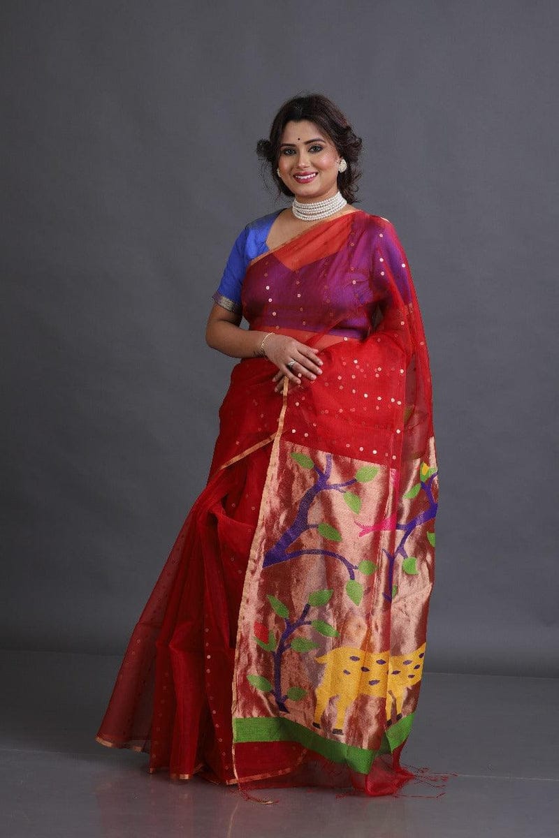Goonj Traditional Resham Paithani saree with all-over sequin weave by Rihyaaz 