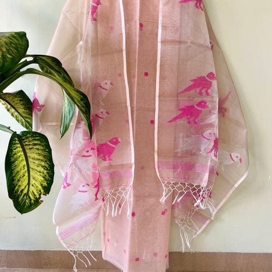 Chidiya muslin woven suit with zari and silk weaving, featuring polka dot motifs on the top by Rihyaaz Fashions.