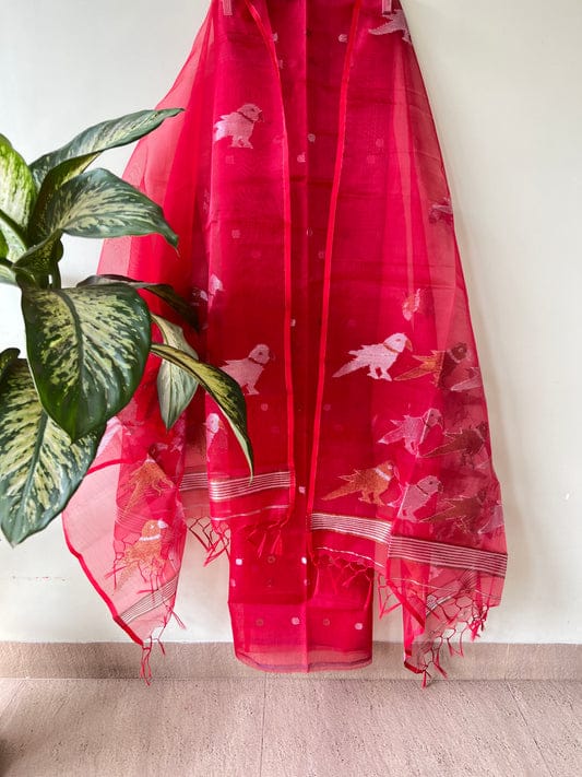 Chidiya muslin woven suit with zari and silk weaving, featuring polka dot motifs on the top by Rihyaaz Fashions.
