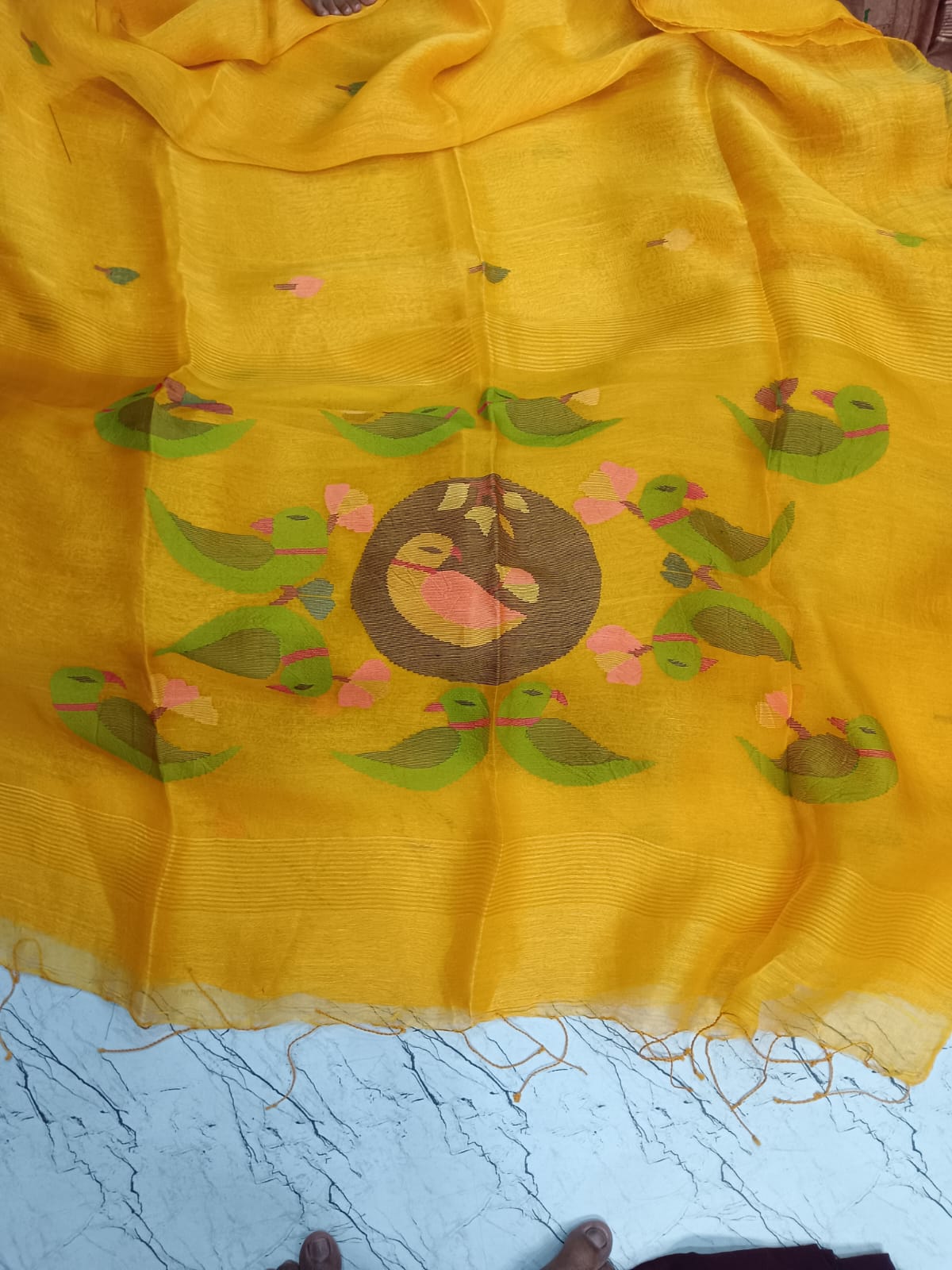 Parrot - Silk Linen Needle Jamdani Weaved Saree from Rihyaaz, crafted with delicate Jamdani-inspired needle weaving and parrot motiffs. Its lightweight silk-linen texture and refined detailing make it an elegant choice for festive occasions, celebrations, and sophisticated everyday dressing.