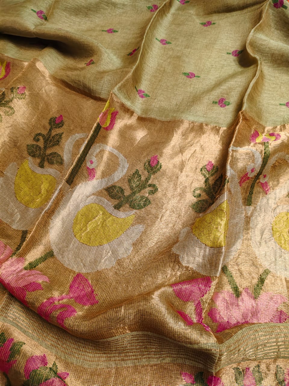 Batakh Silk Tissue Linen Saree
