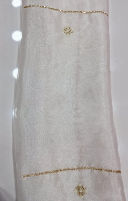 Designer Organza Kurta with All Over Heavy Aari Work & Hand Aari Cutwork Dupatta