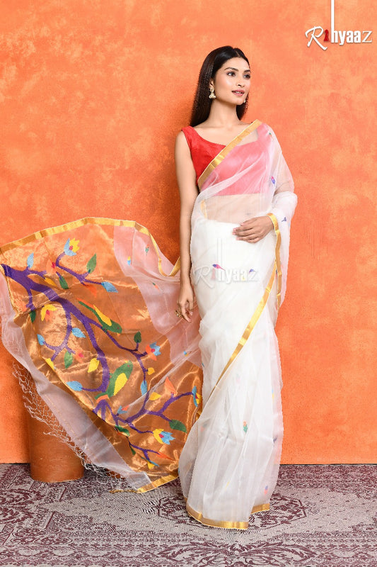 MAHI The Muslin Saree Resham Anchal Paithani