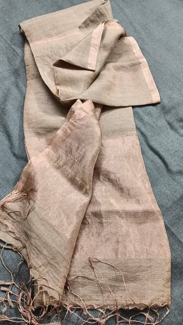 Liya – Silk Tissue Weaved Linen Saree with Elegant Tissue Palla