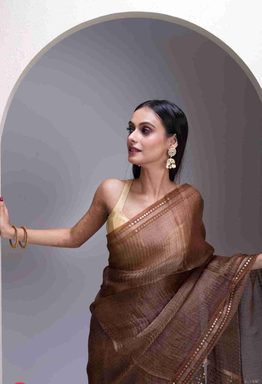 Shama Pure Resham festive saree with dual silver and golden zari stripes, sequin work on palla and border, paired with Pure Matka blouse piece by Rihyaaz.