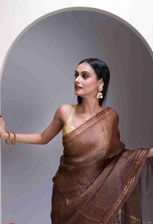 Shama Pure Resham festive saree with dual silver and golden zari stripes, sequin work on palla and border, paired with Pure Matka blouse piece by Rihyaaz.