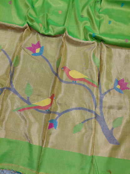 Rai festive collection pure cotton saree with zari tissue acrylic detailing and elegant Paithani pallu, paired with running blouse piece by Rihyaaz.